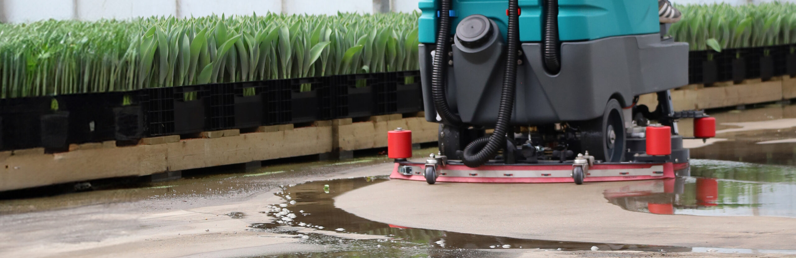 Eureka Veeg en schrobmachine