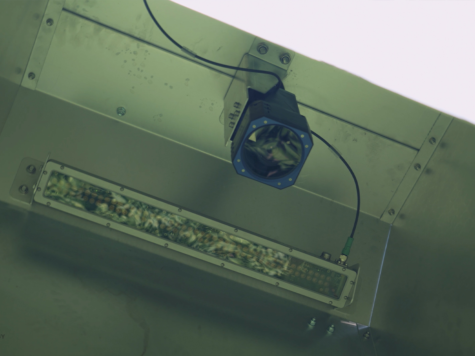 CroptiScan aardappel selectie robot