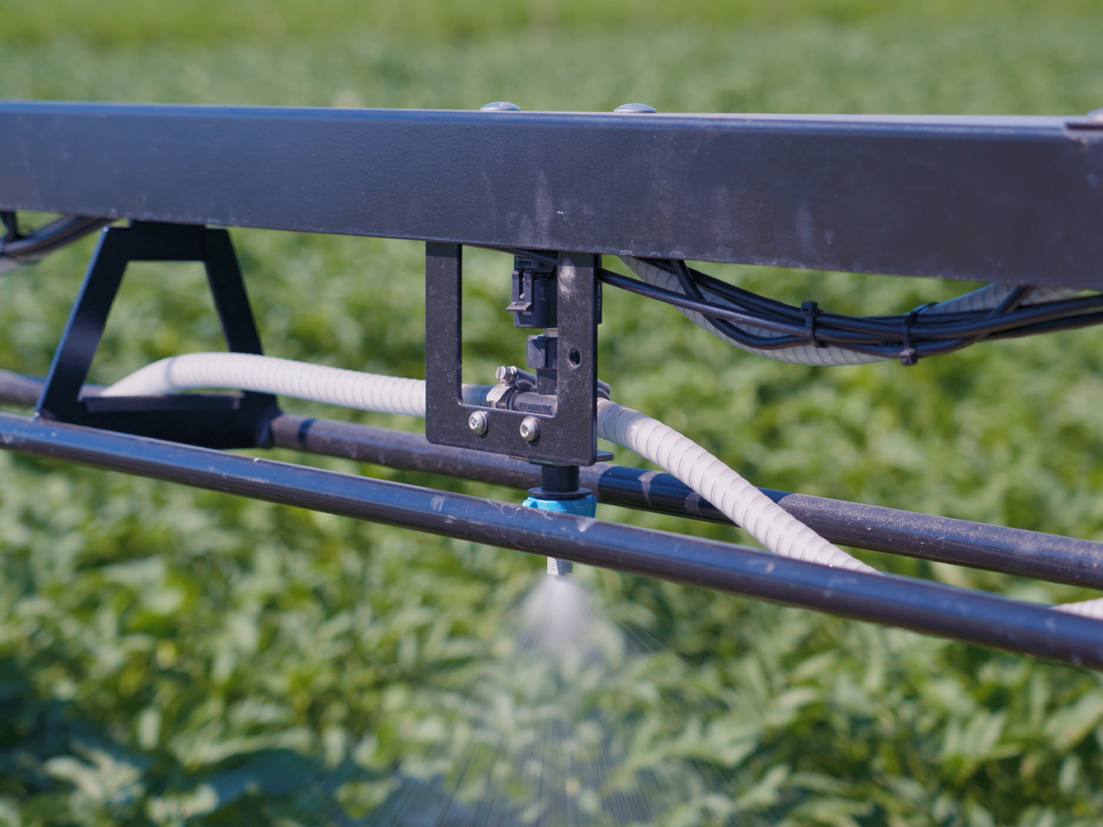 CroptiScan aardappel selectie robot